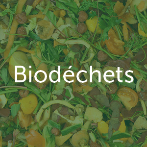 Recyclage des biodéchets